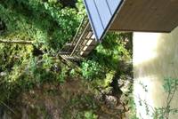 Highlight for Album: Breitachklamm 2007