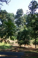 Indonesien-2060