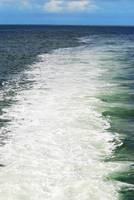 Highlight for Album: Nordsee 2008 (Hamburg, Amrum, Hannover, Nienburg)
