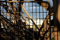 paris-012