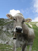 Orte / Urlaube